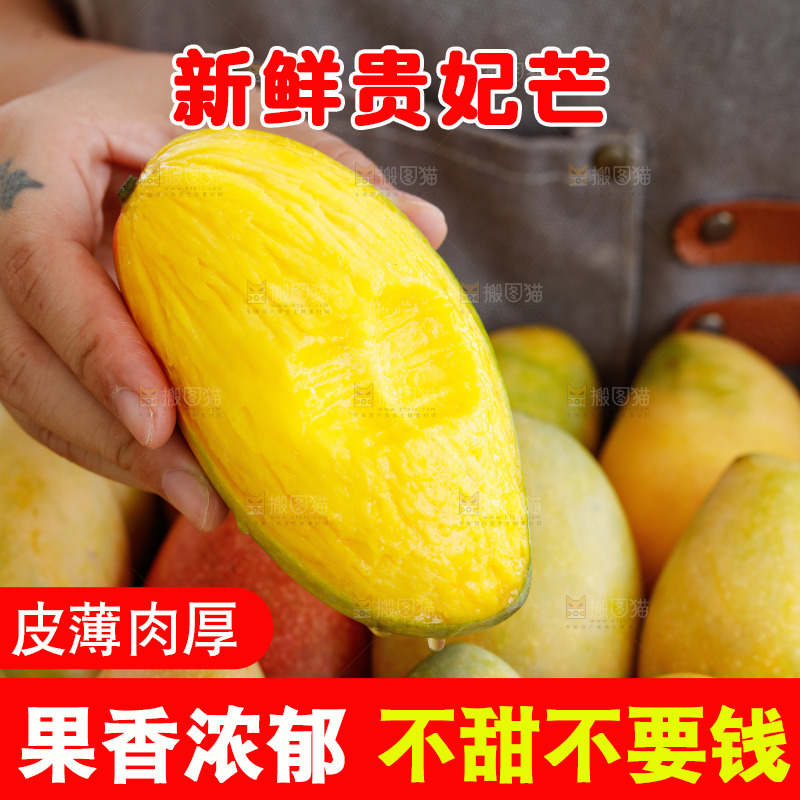 深底上的贵妃芒