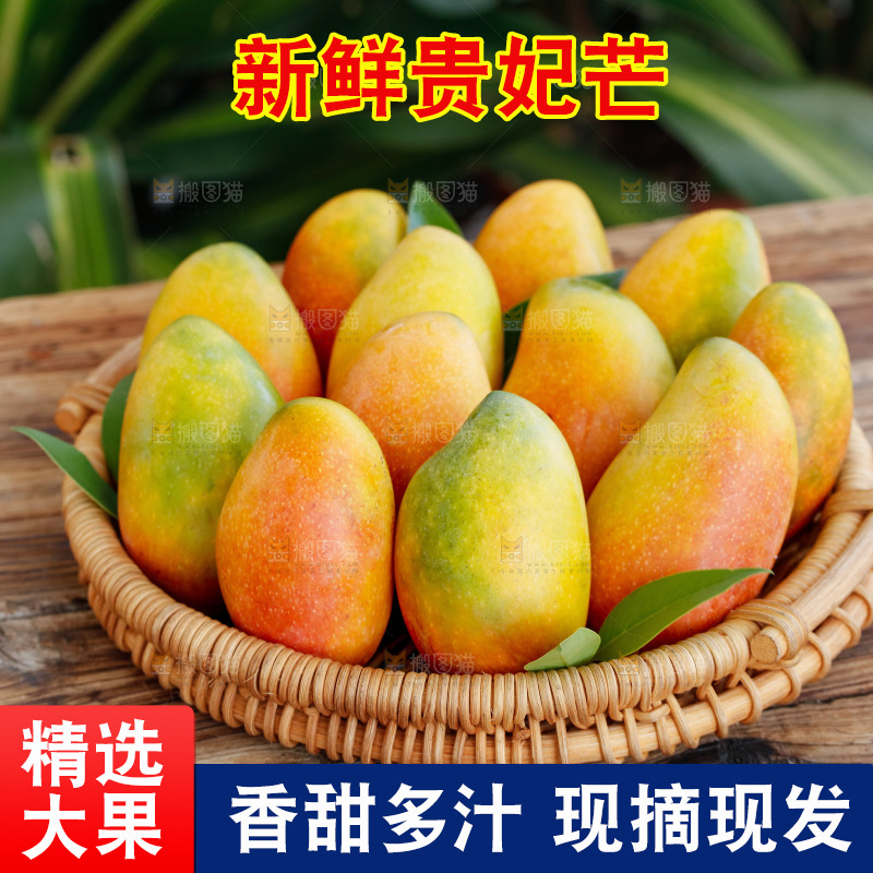 深底上的贵妃芒