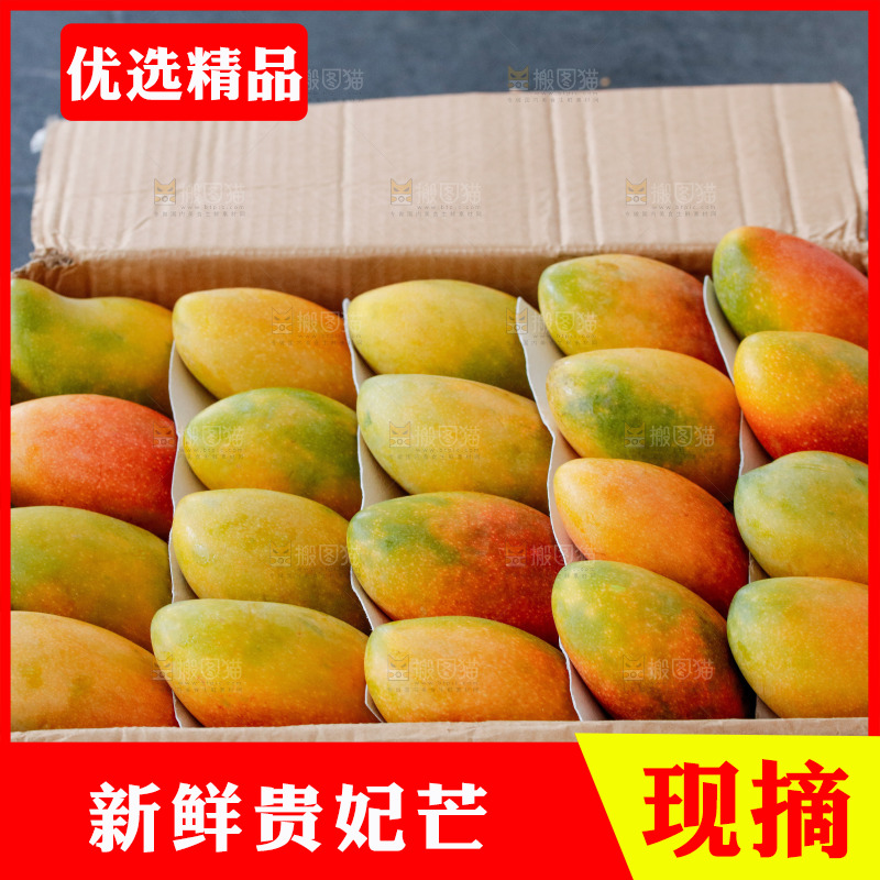 深底上的贵妃芒