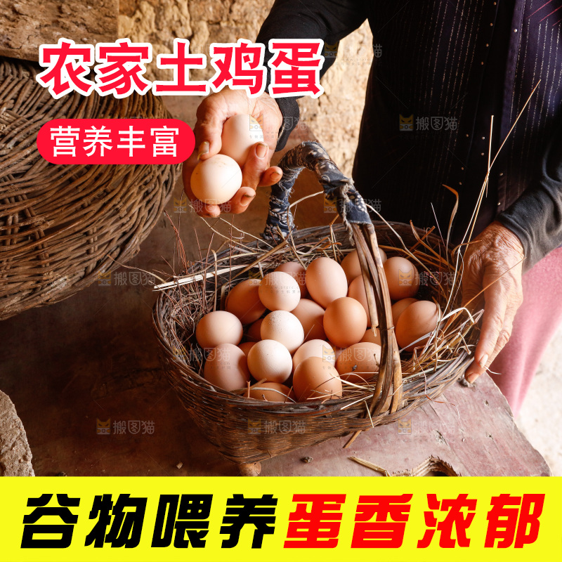 地上放着新鲜土鸡蛋