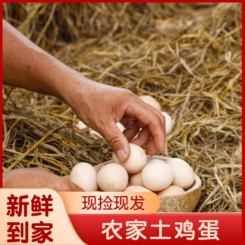 地上放着新鲜土鸡蛋