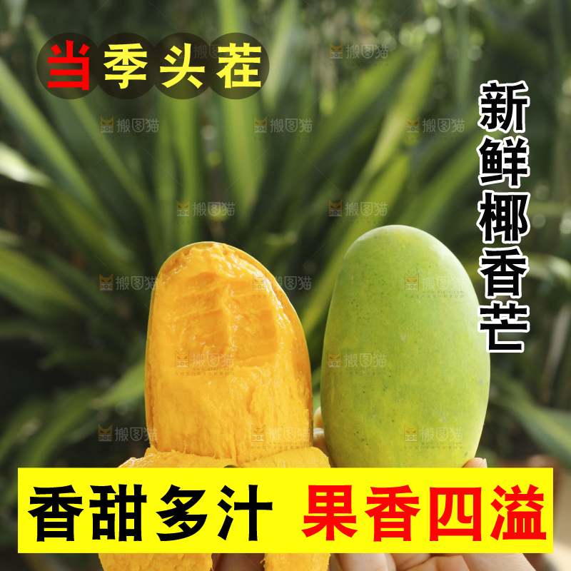 手里拿着椰香芒