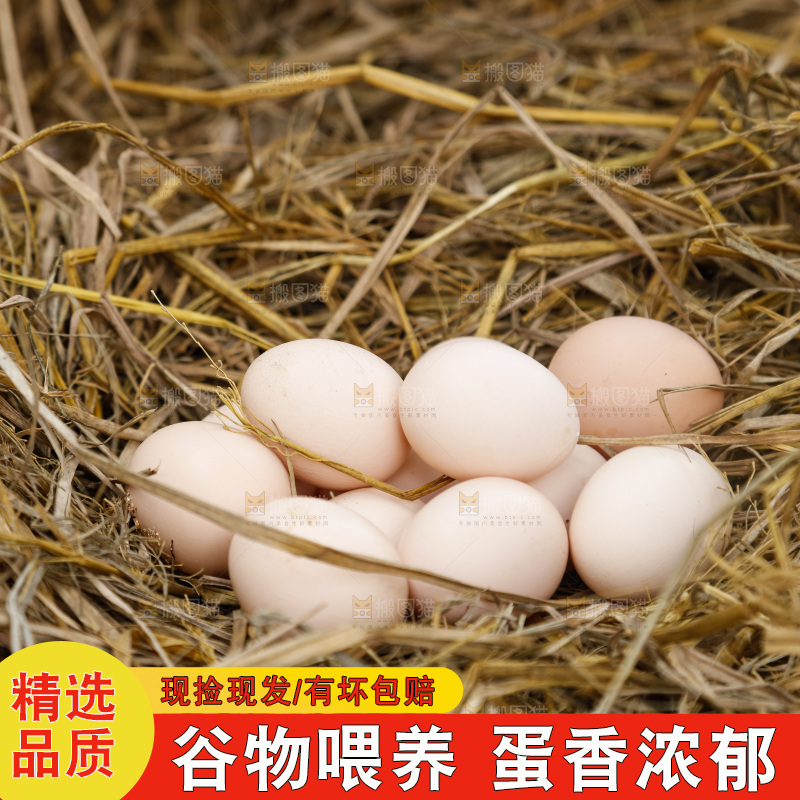 地上放着新鲜土鸡蛋