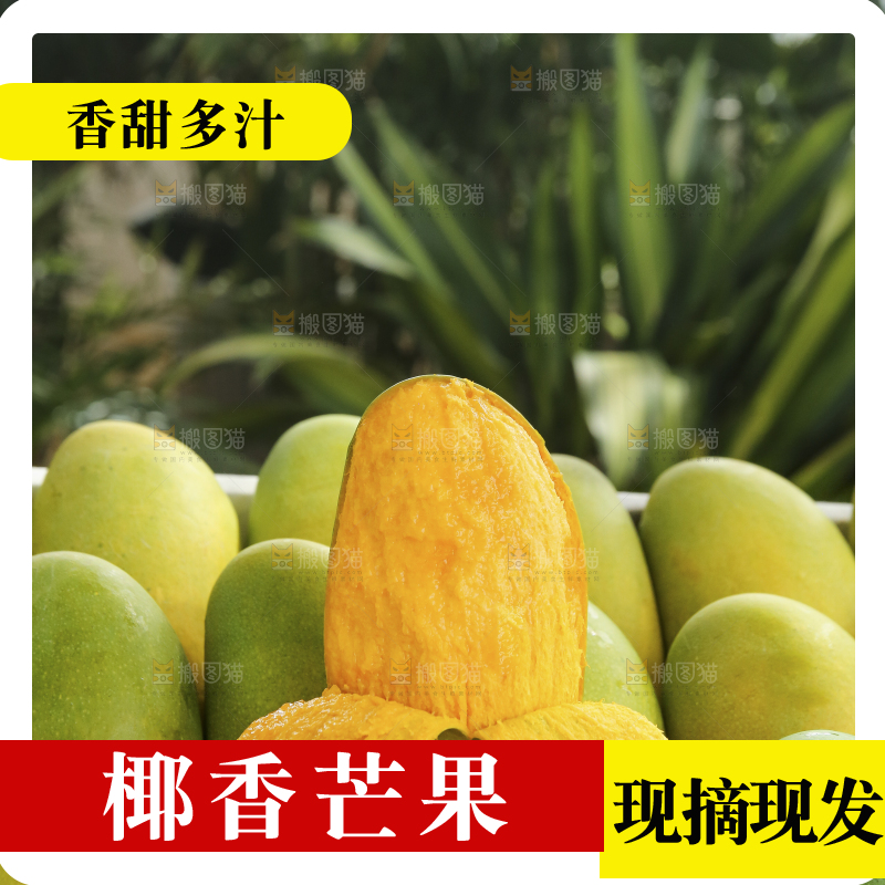 深底上的椰香芒
