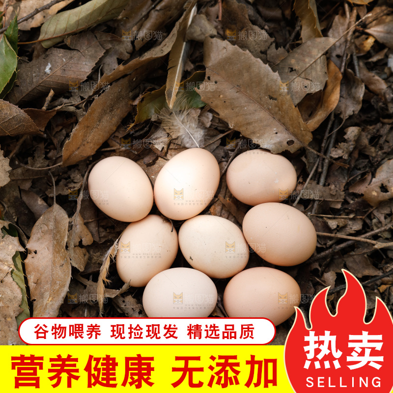 地上放着新鲜土鸡蛋