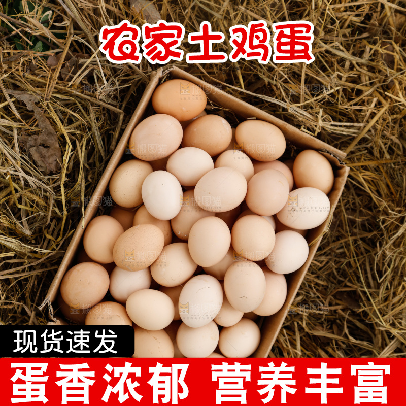 地上放着新鲜土鸡蛋