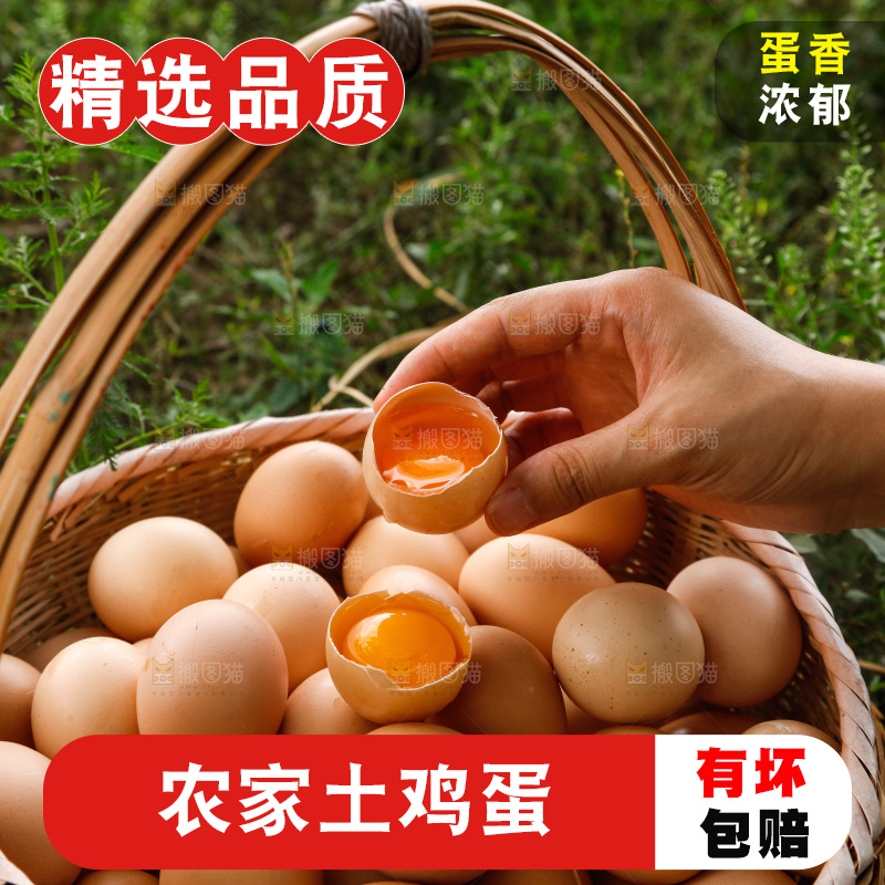 地上放着新鲜土鸡蛋