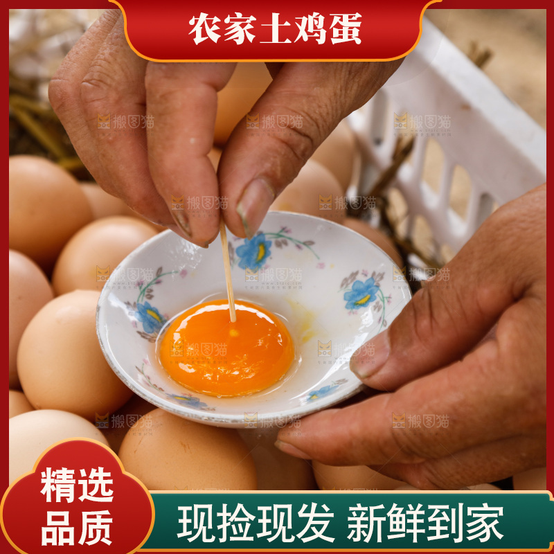 地上放着新鲜土鸡蛋