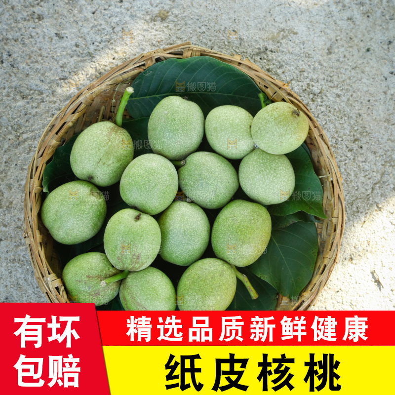 手里拿着青核桃