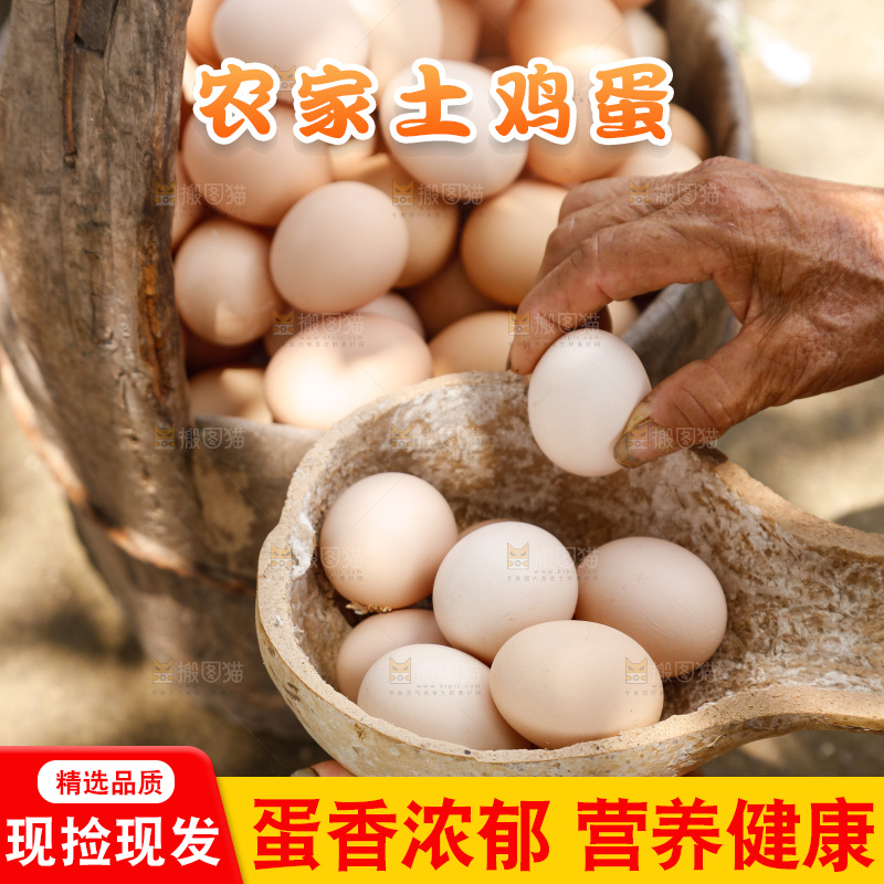 地上放着新鲜土鸡蛋