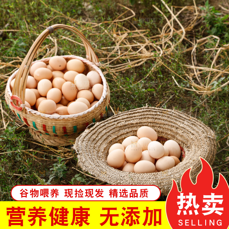 地上放着新鲜土鸡蛋