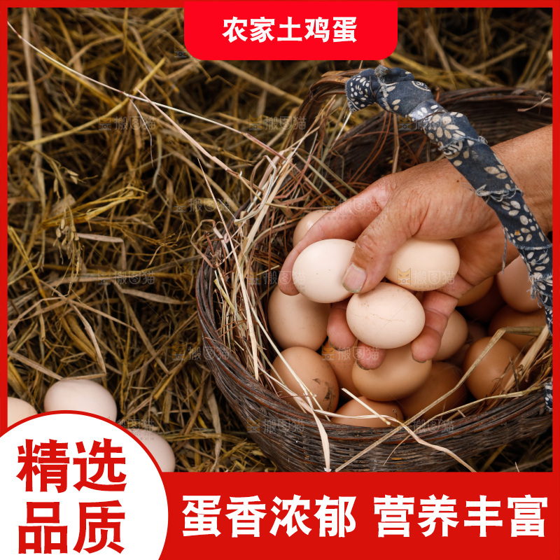 地上放着新鲜土鸡蛋