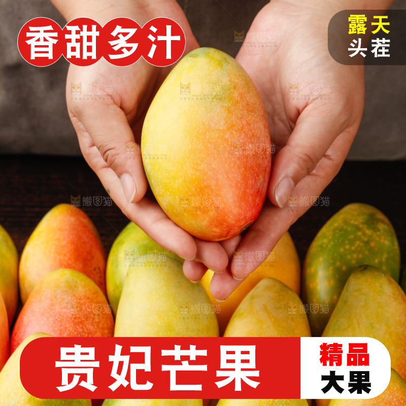 深底上的贵妃芒
