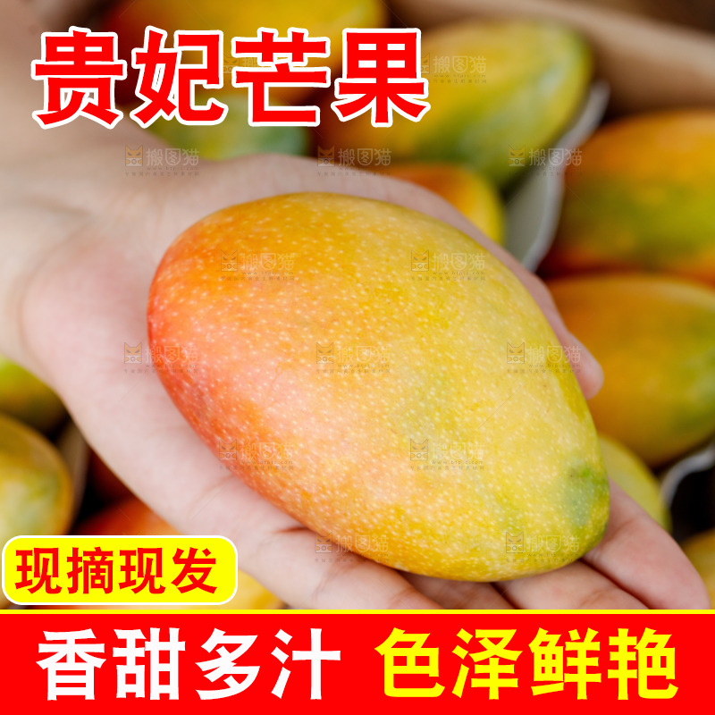 手里拿着贵妃芒