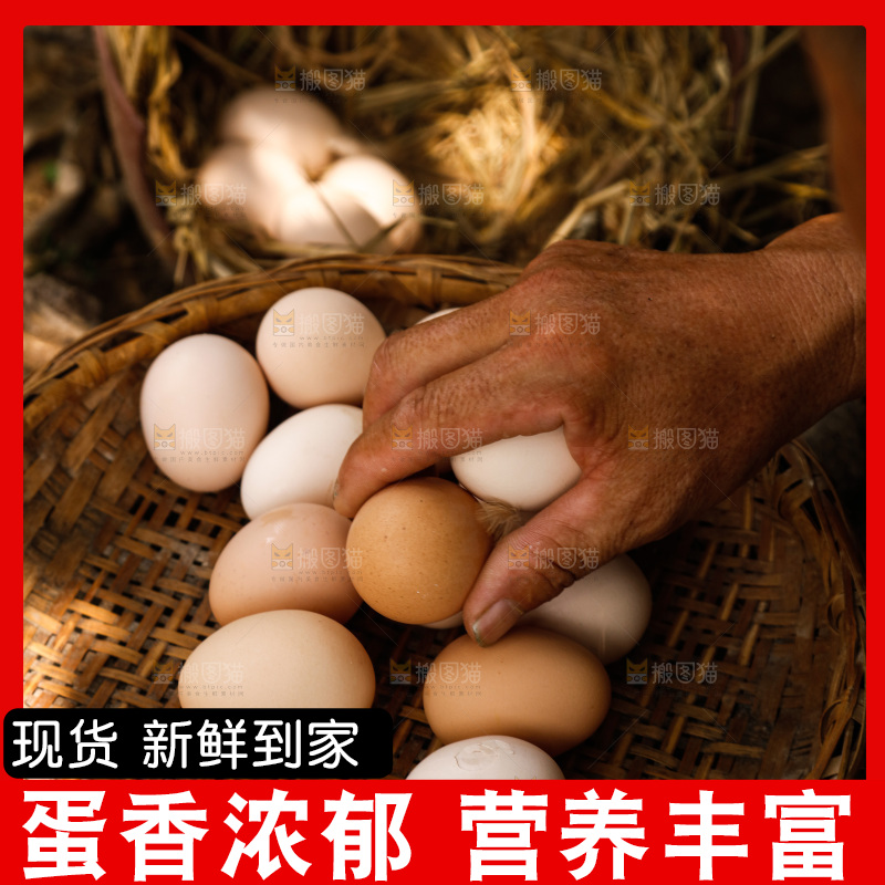 地上放着新鲜土鸡蛋
