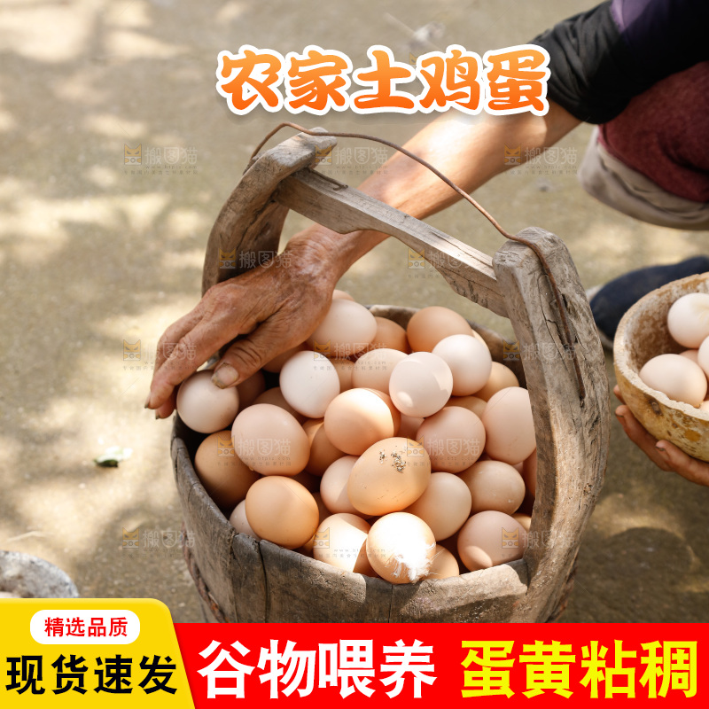 地上放着新鲜土鸡蛋