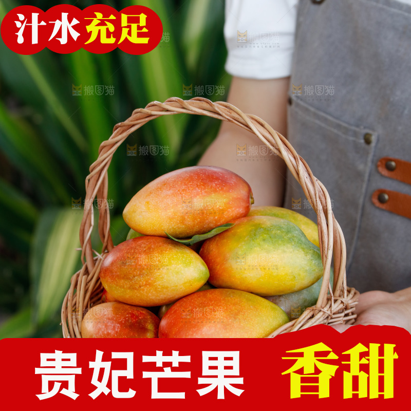 手里拿着贵妃芒