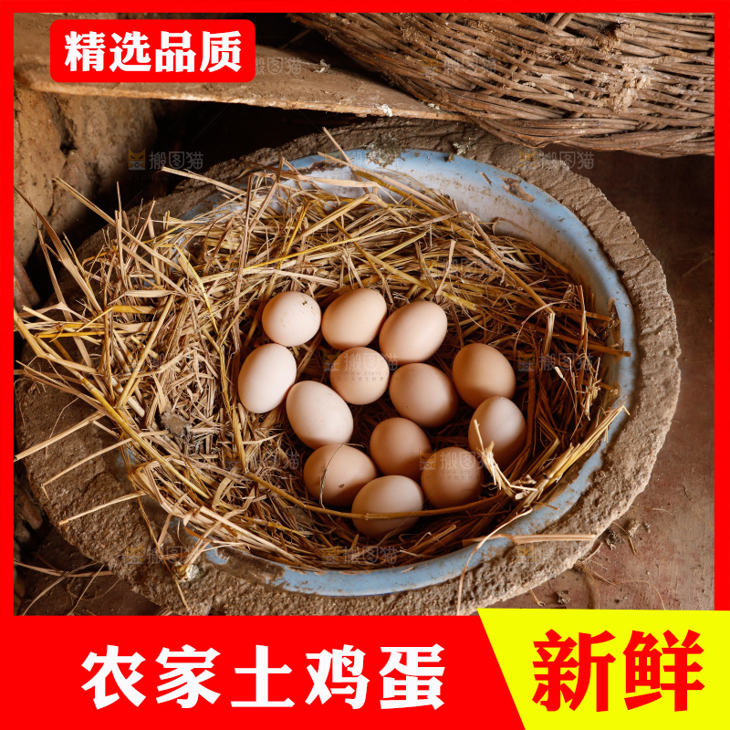 地上放着新鲜土鸡蛋