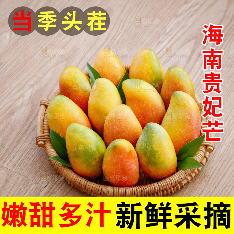 深底上的贵妃芒