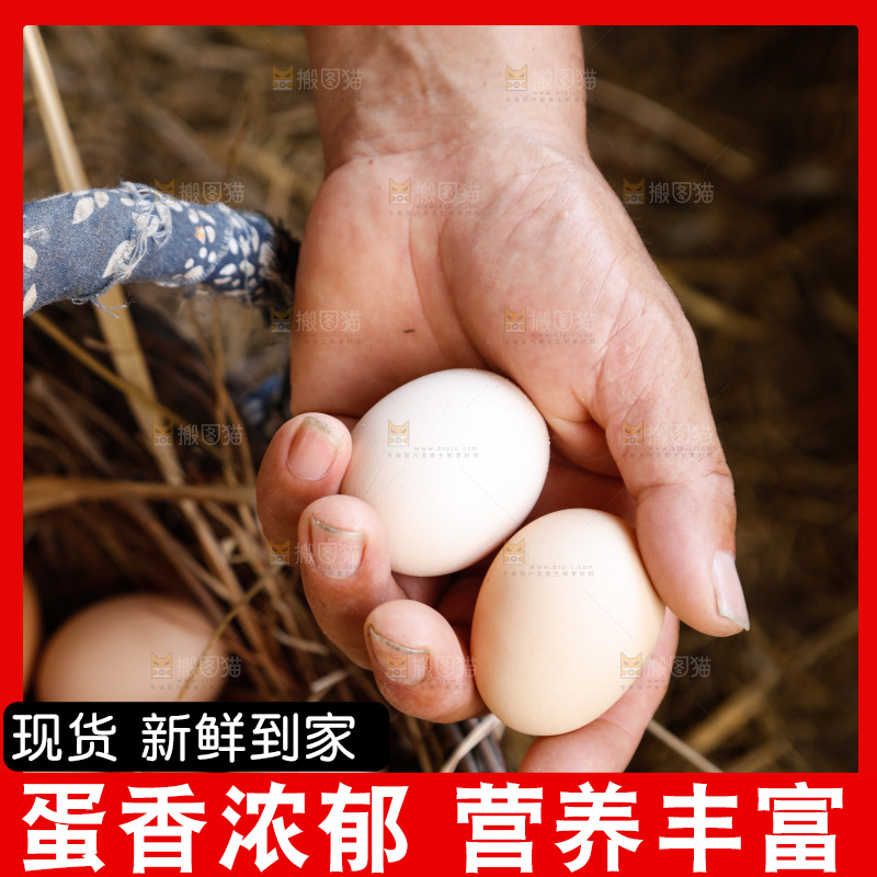 地上放着新鲜土鸡蛋