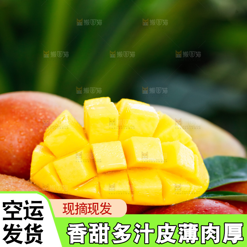 手里拿着贵妃芒
