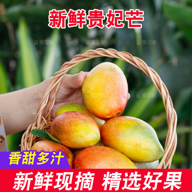 手里拿着贵妃芒