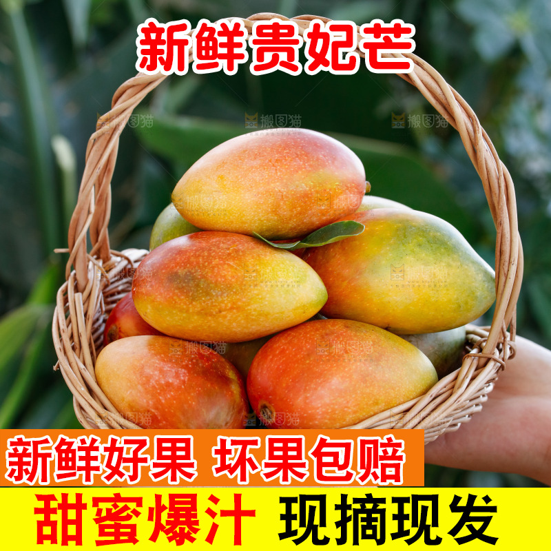 手里拿着贵妃芒