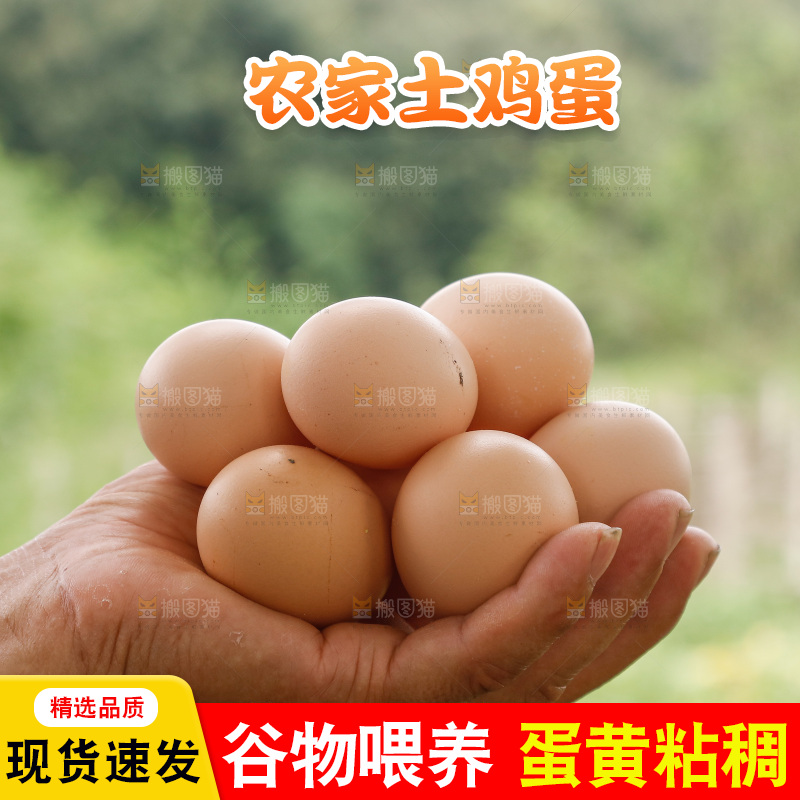 手里拿着土鸡蛋