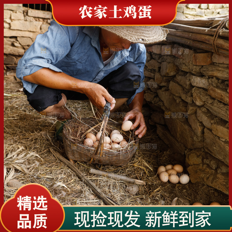 手里拿着土鸡蛋