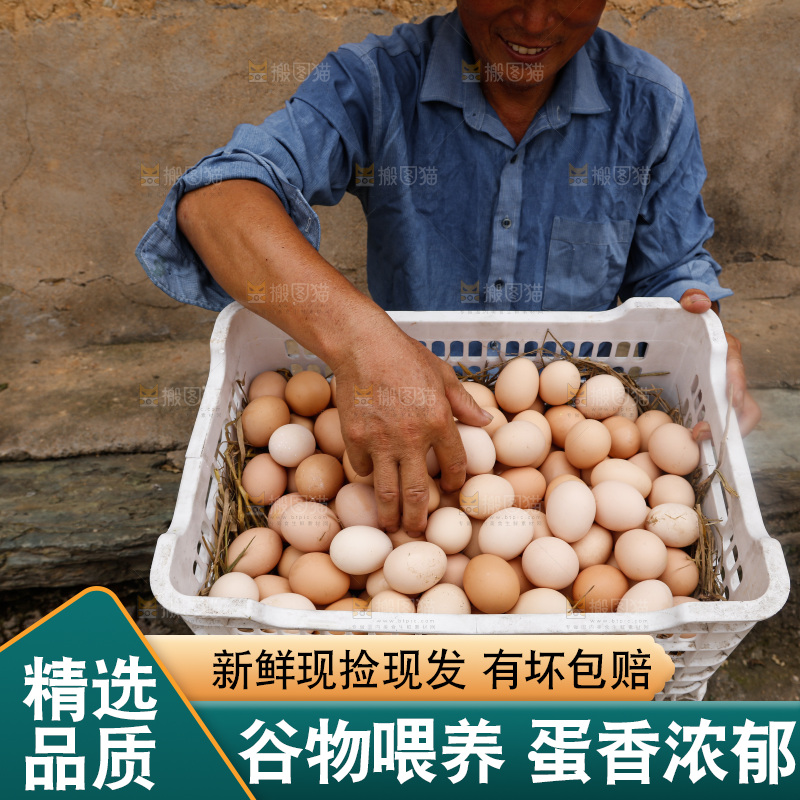 手里拿着土鸡蛋