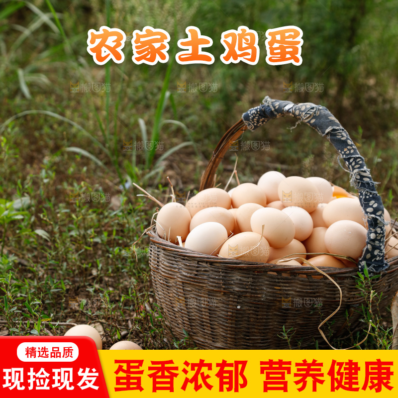 地上放着新鲜土鸡蛋