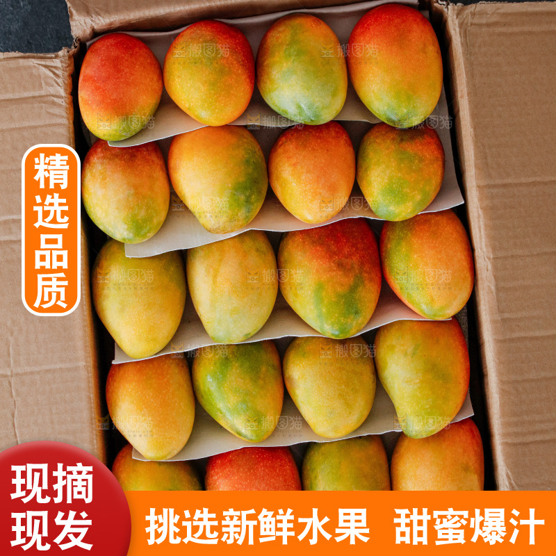 深底上的贵妃芒