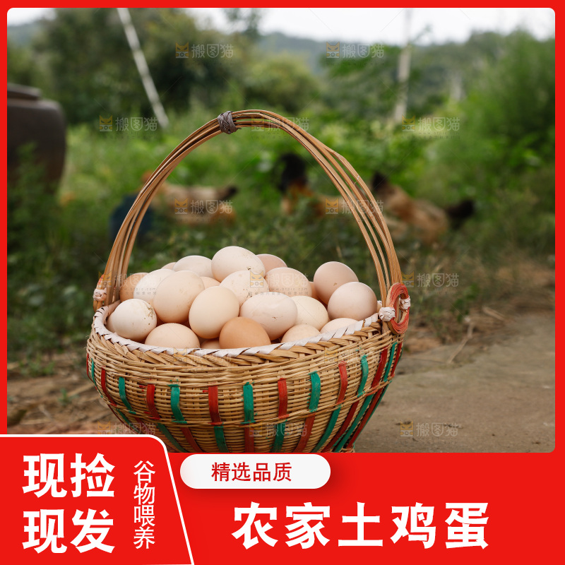 地上放着新鲜土鸡蛋