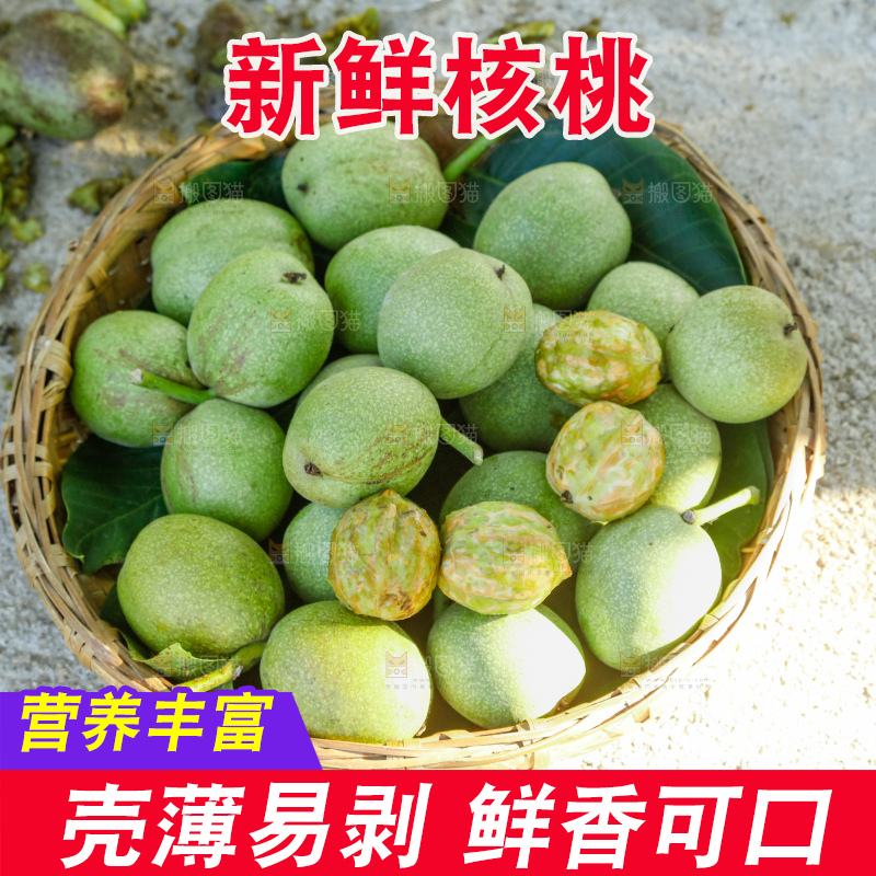 手里拿着青核桃