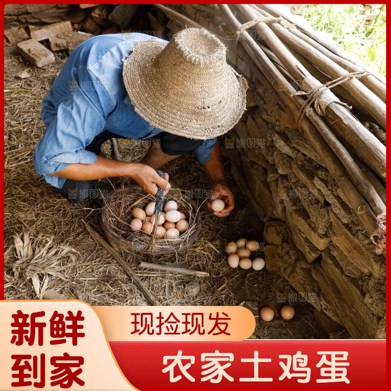 手里拿着土鸡蛋