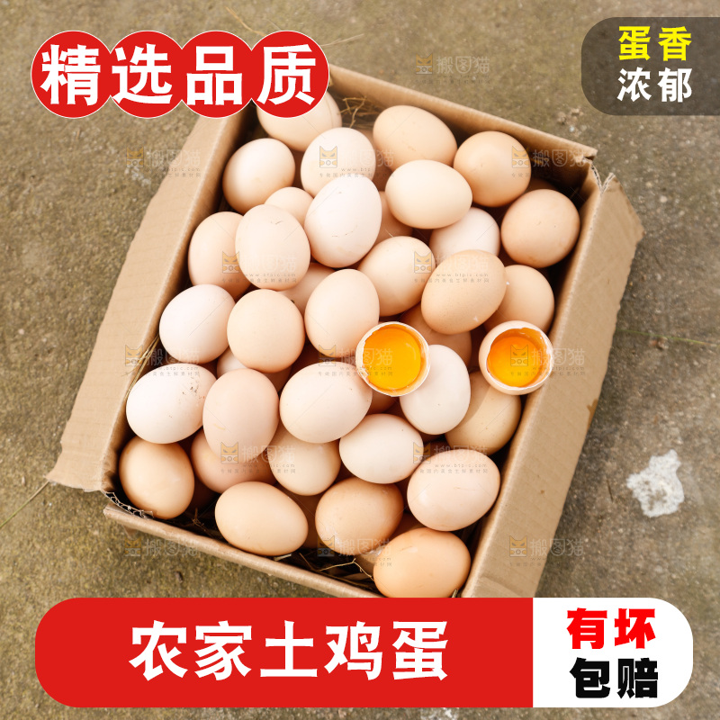 地上放着新鲜土鸡蛋