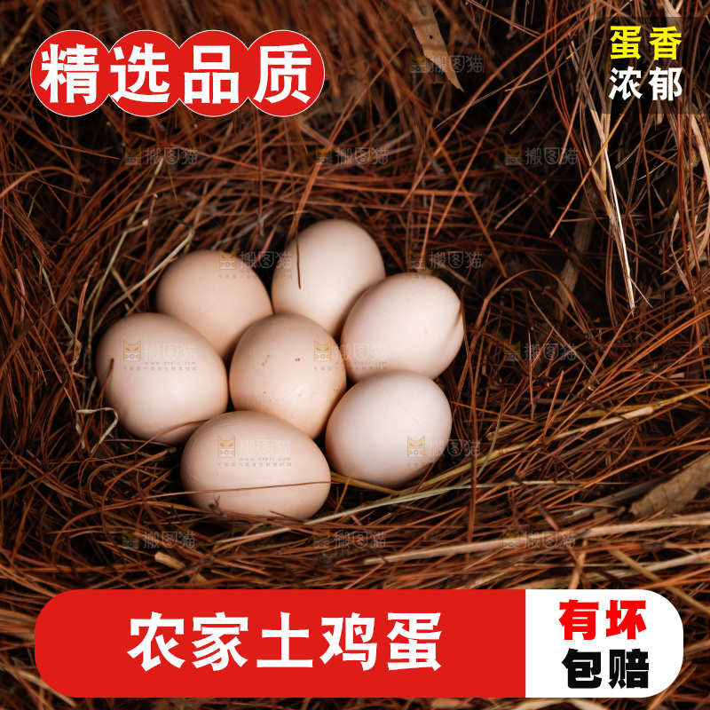 地上放着新鲜土鸡蛋