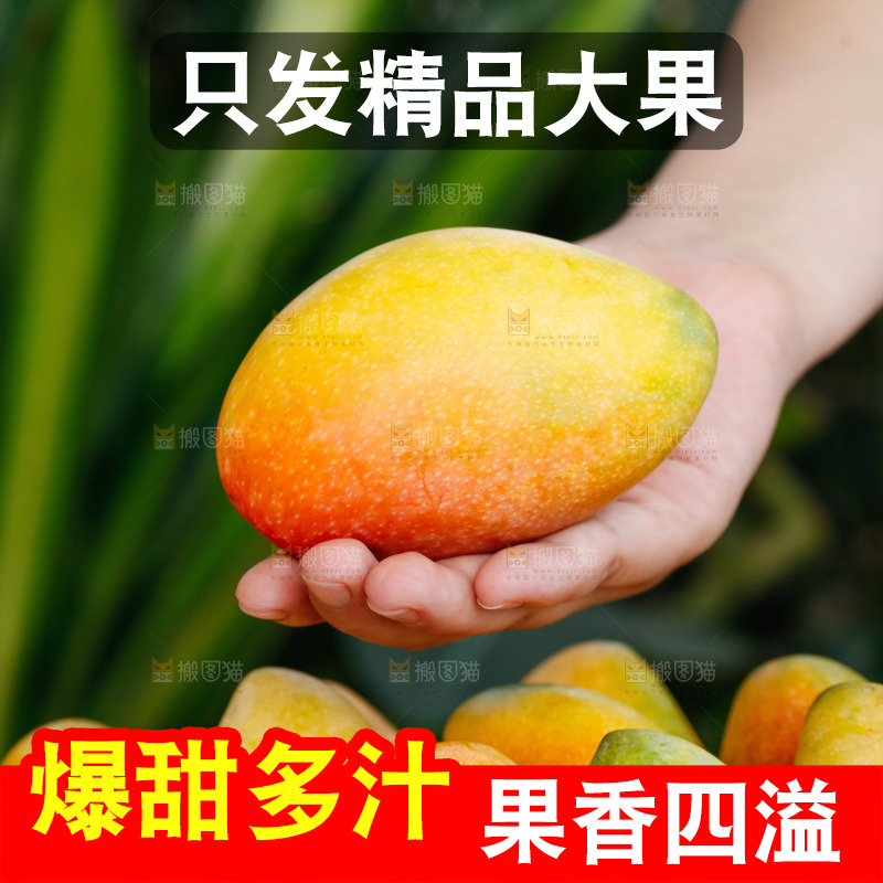 手里拿着贵妃芒