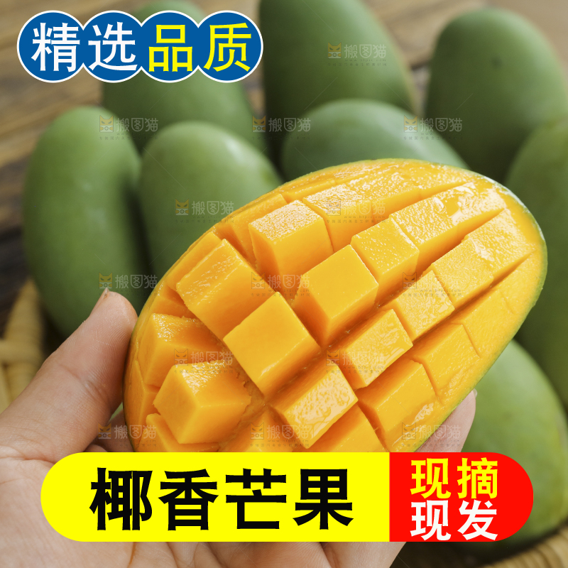 手里拿着椰香芒