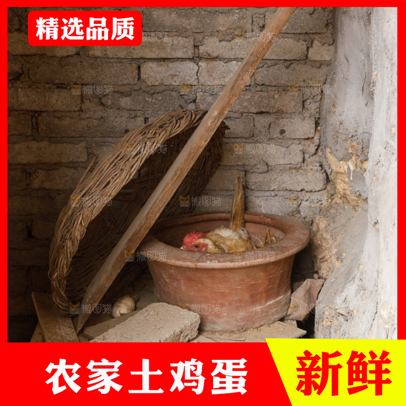 地上放着新鲜土鸡蛋