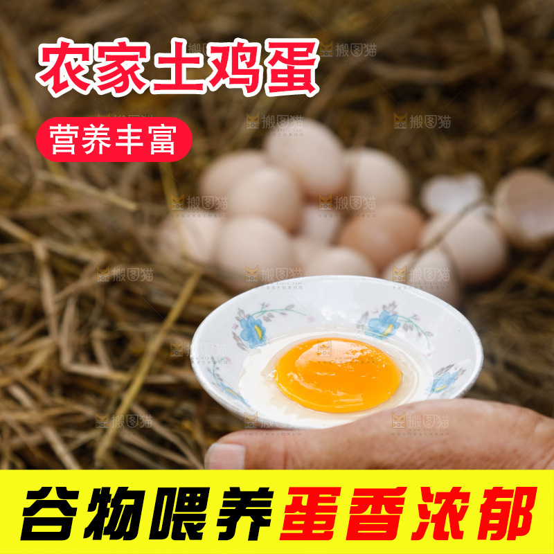 地上放着新鲜土鸡蛋
