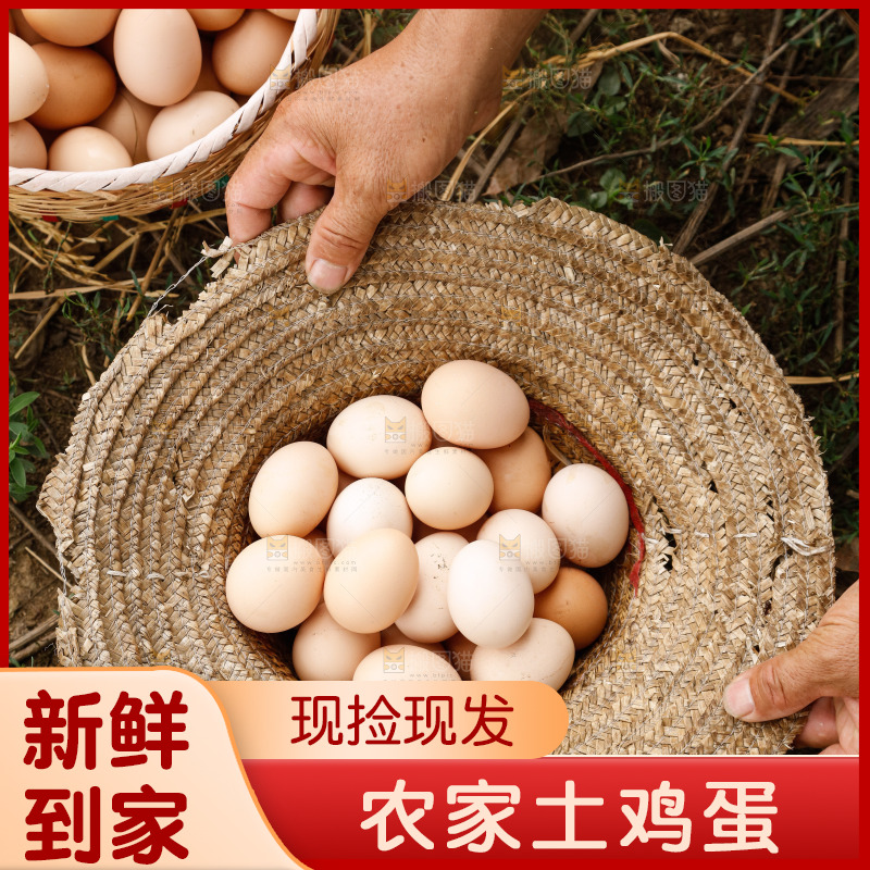 地上放着新鲜土鸡蛋