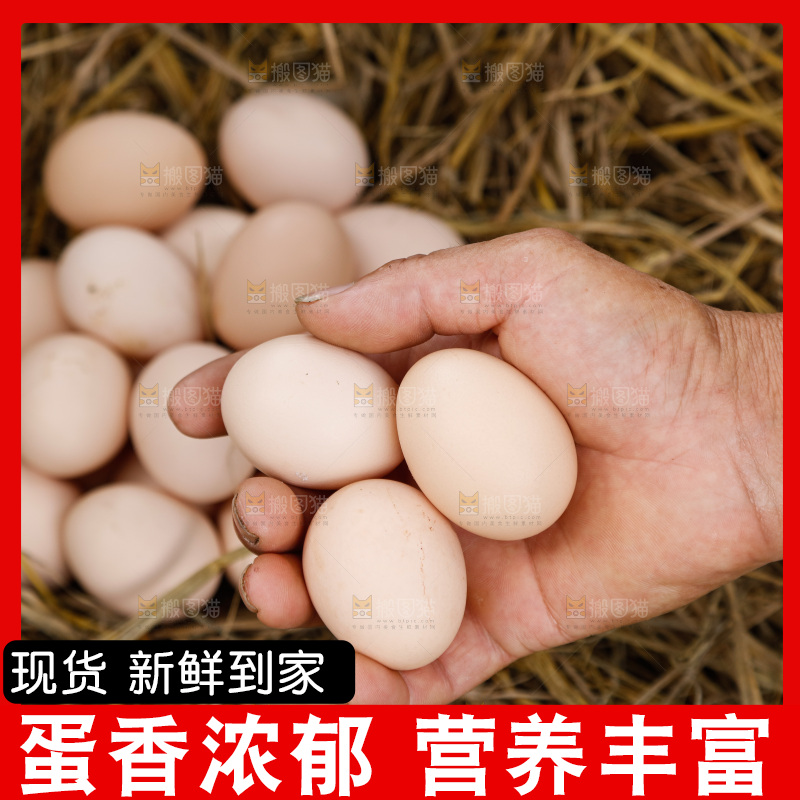 地上放着新鲜土鸡蛋
