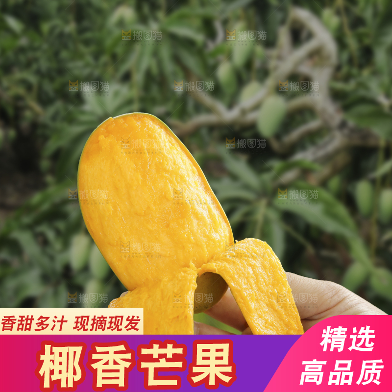 手里拿着椰香芒