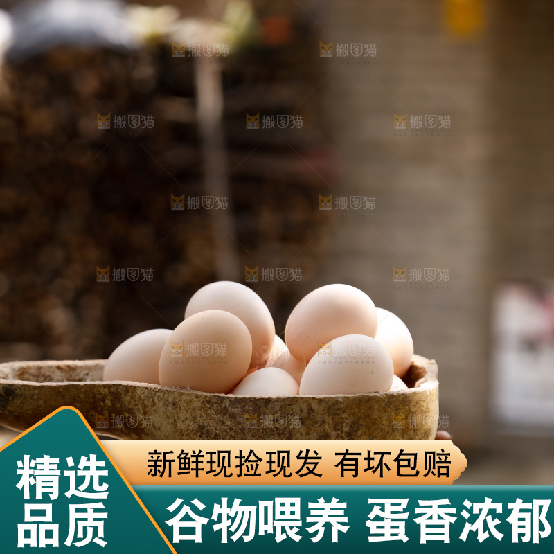 地上放着新鲜土鸡蛋