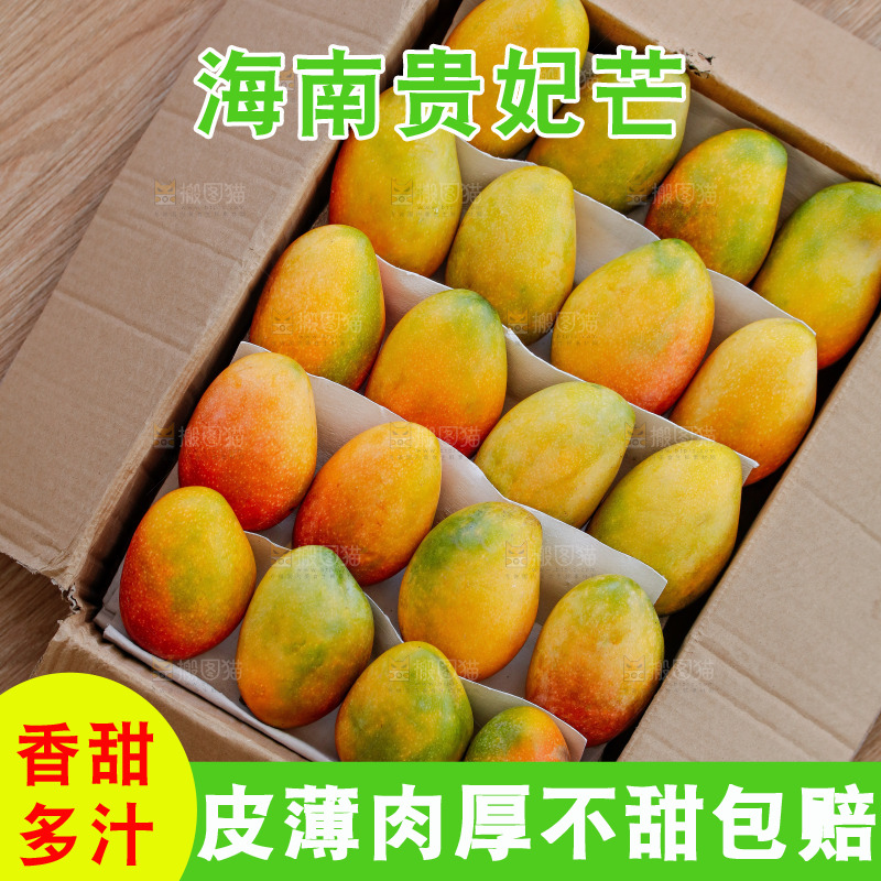 深底上的贵妃芒