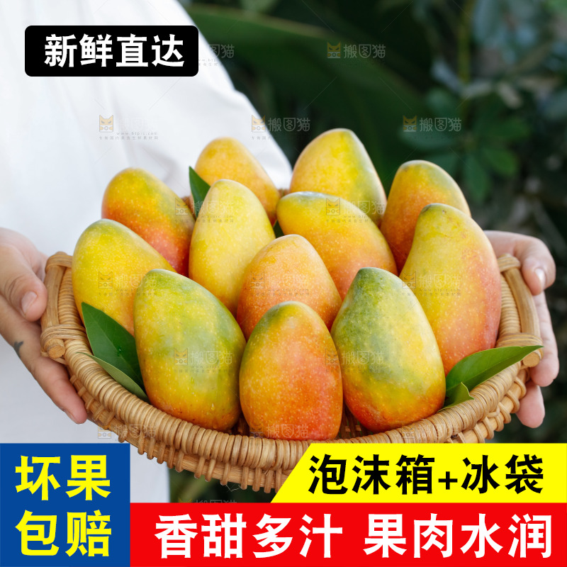 手里拿着贵妃芒