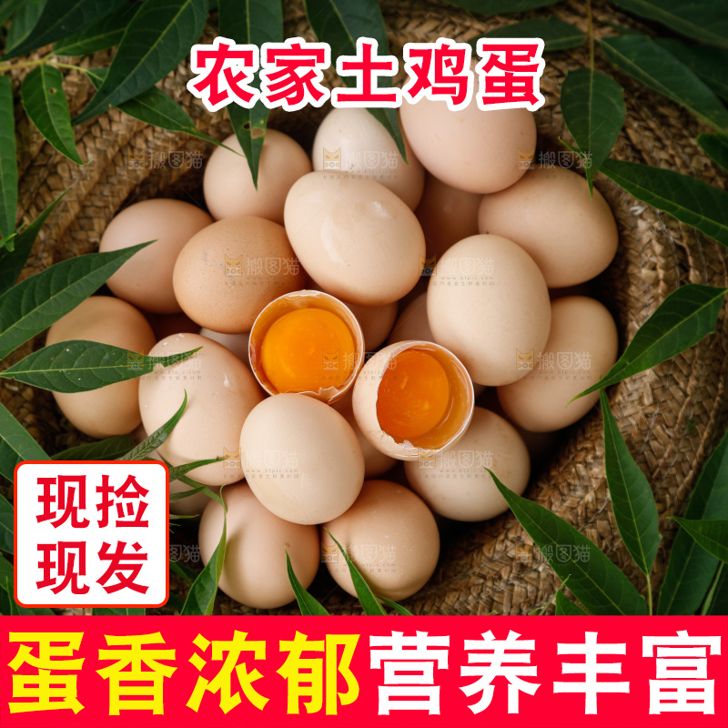地上放着新鲜土鸡蛋