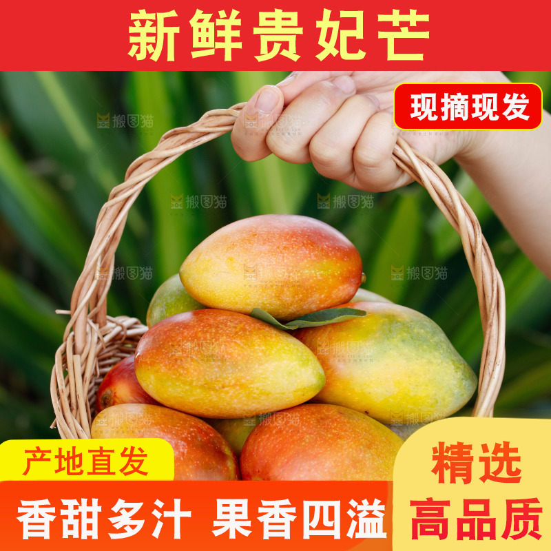 手里拿着贵妃芒