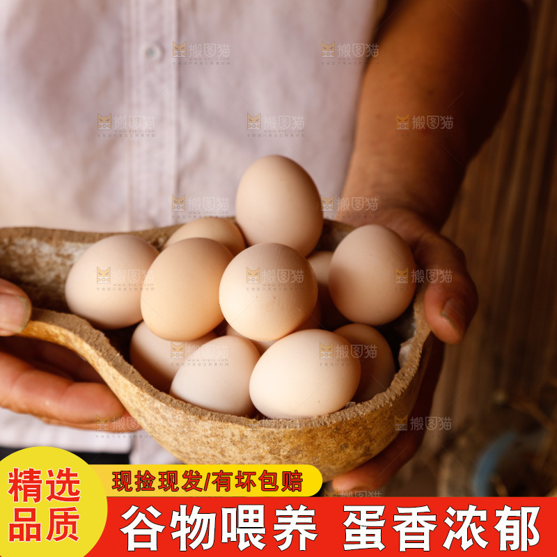 地上放着新鲜土鸡蛋
